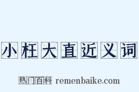 小枉大直近义词是什么意思的图片